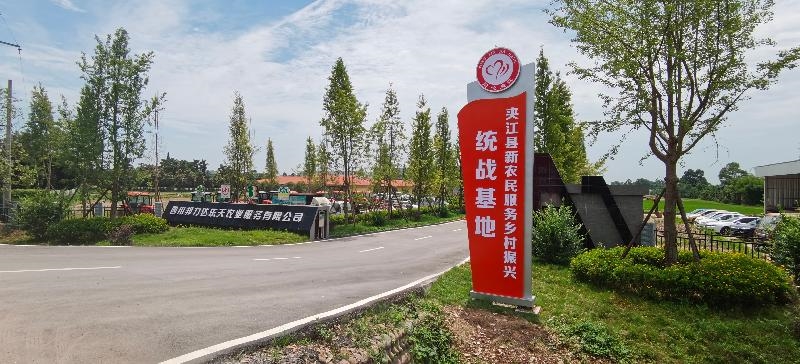 指尖与自然的对话：楠木文化的魅力